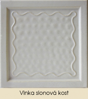 Vlnka slonová kost